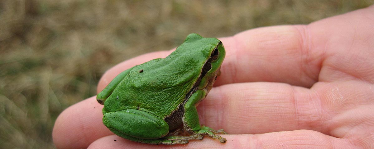… weil wir dazu erziehen, verantwortungsvoll zu handeln